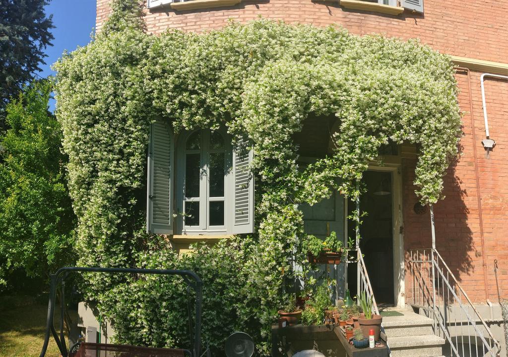 I 4 Gatti Hotell Bologna Exteriör bild